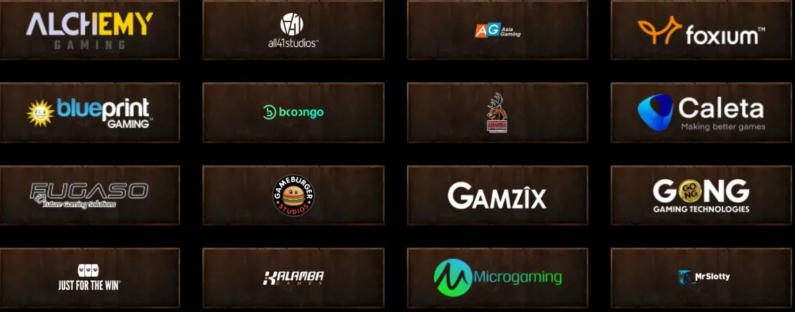 cybercity casino software providers